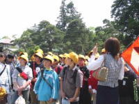 CwsS