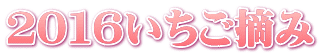 ２０１６いちご摘み