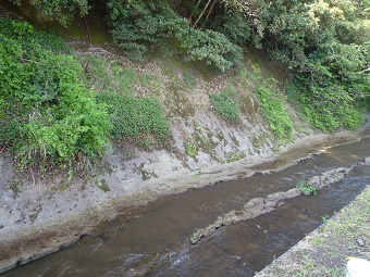 高田川
