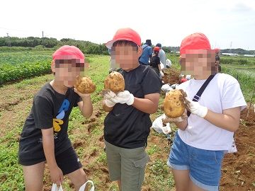 大きなじゃがいも
