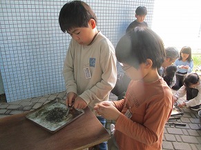 5月13日画像5