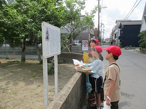 5月14日画像2