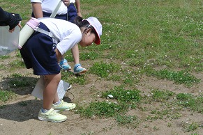 tupi4
