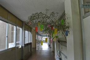 7月3日画像4