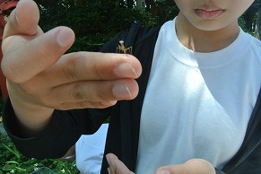 5月20日画像3