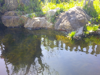 飯沼池