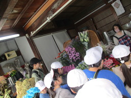 まちたんけん６