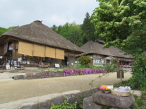 修学旅行①-1